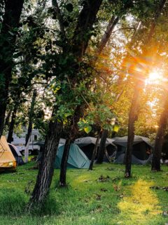 and so we piled on the big white bus and headed to our yearly glamping + music festival where we drank lots of cold brew, made raman over the fire, almost caught heat stroke, and sang alot.
They say this one was the best one yet🙂‍↕️😏
.
.
.
.
.