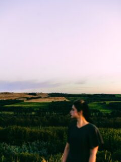 glimmer of sep at dusk 🌻🍃